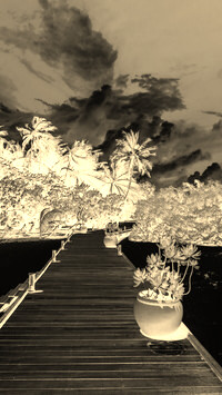 Sepia + Negatyw