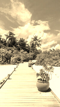 Sepia