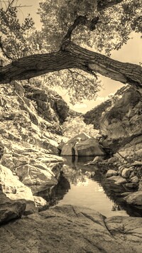 Sepia