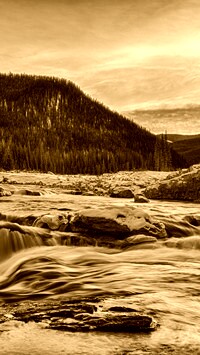 Sepia