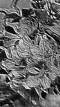 Skamielina