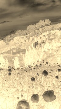 Sepia + Negatyw