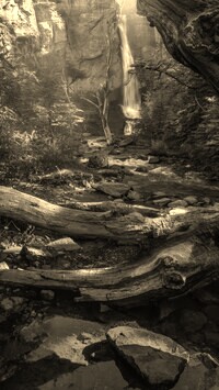 Szary + Sepia