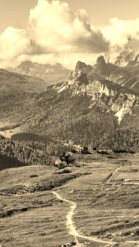 Szary + Sepia