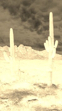 Sepia + Negatyw