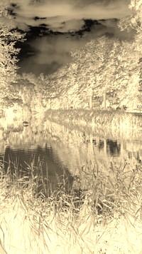 Sepia + Negatyw