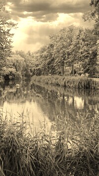 Sepia
