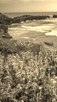 Sepia
