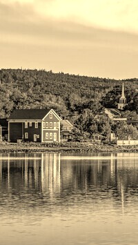 Szary + Sepia