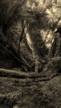 Szary + Sepia