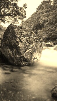 Sepia
