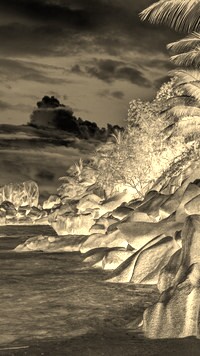 Sepia + Negatyw