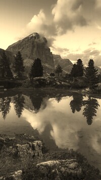 Szary + Sepia