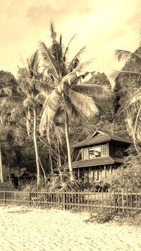 Szary + Sepia