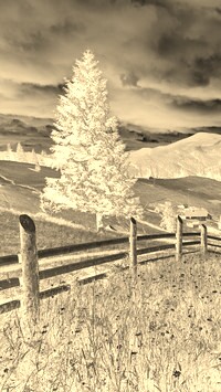 Sepia + Negatyw