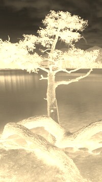 Sepia + Negatyw