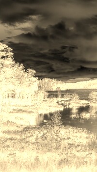 Sepia + Negatyw