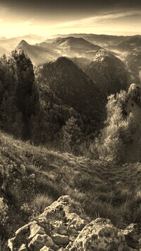 Sepia