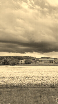Szary + Sepia