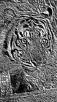Skamielina