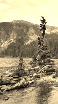 Sepia