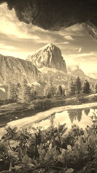 Szary + Sepia