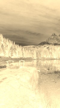 Sepia + Negatyw