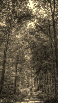 Szary + Sepia