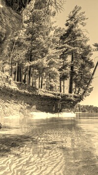 Szary + Sepia