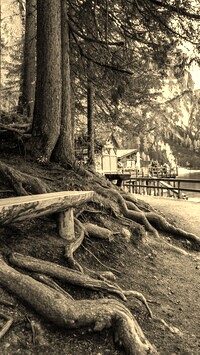 Szary + Sepia