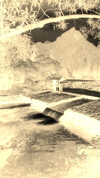 Sepia + Negatyw