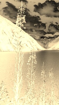 Sepia + Negatyw