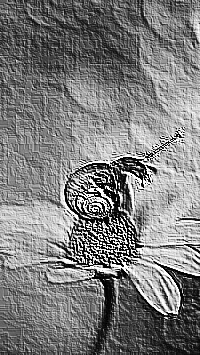 Skamielina
