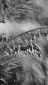 Skamielina