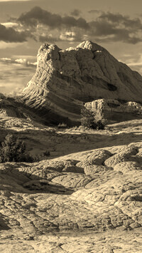 Szary + Sepia