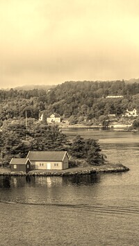 Szary + Sepia