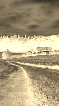 Sepia + Negatyw