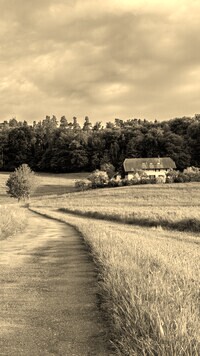 Szary + Sepia