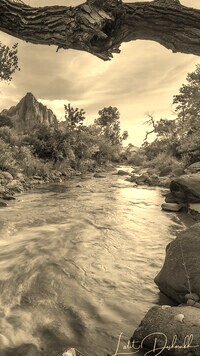 Sepia
