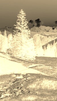 Sepia + Negatyw