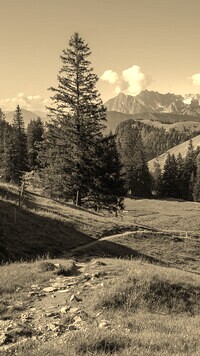 Szary + Sepia