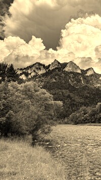 Szary + Sepia