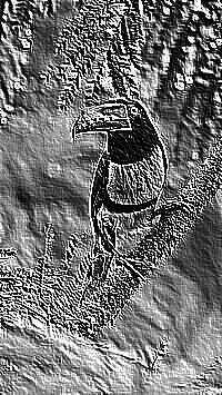 Skamielina