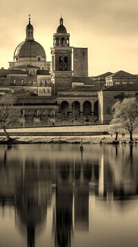Szary + Sepia