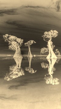 Sepia + Negatyw