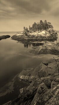 Sepia