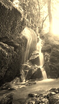 Szary + Sepia