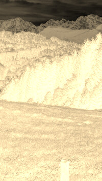 Sepia + Negatyw