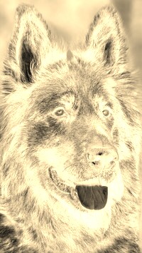 Sepia + Negatyw