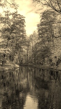 Szary + Sepia